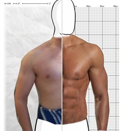 Torso Comparison