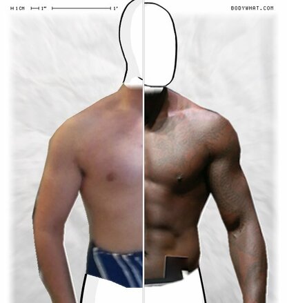 Torso Comparison