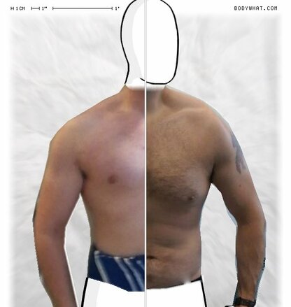 Torso Comparison