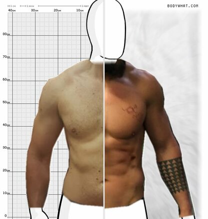 Torso Comparison