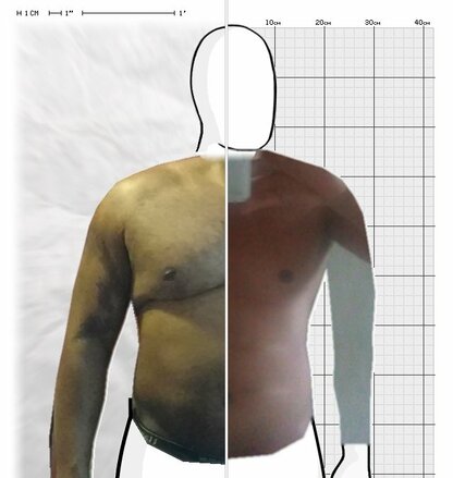 Torso Comparison