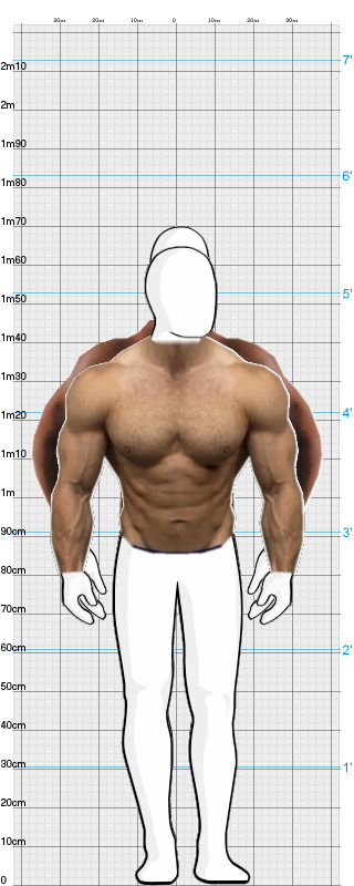 Full Size Comparison
