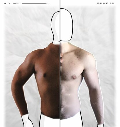 Torso Comparison