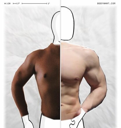 Torso Comparison