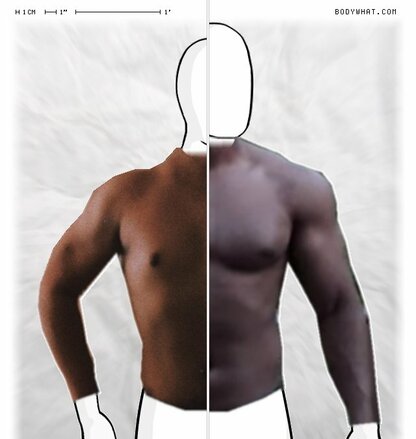 Torso Comparison