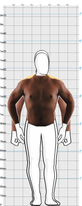 Full Size Comparison