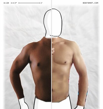 Torso Comparison
