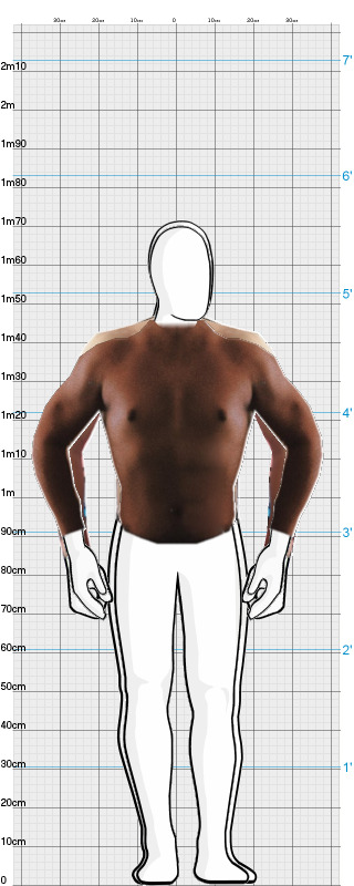 Full Size Comparison
