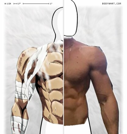 Torso Comparison