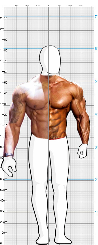Full Size Comparison