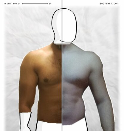 Torso Comparison