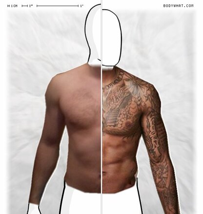 Torso Comparison