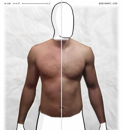 Torso Comparison