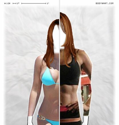 Torso Comparison
