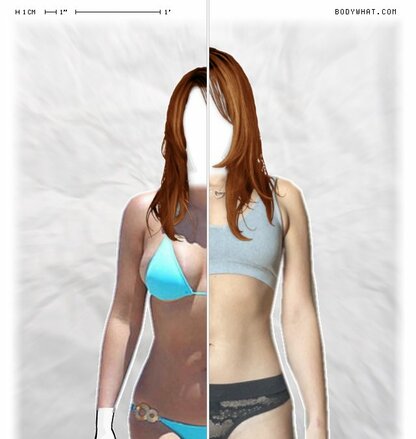 Torso Comparison