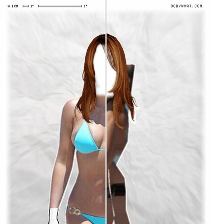 Torso Comparison