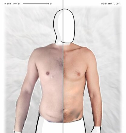 Torso Comparison
