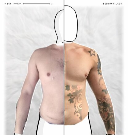 Torso Comparison