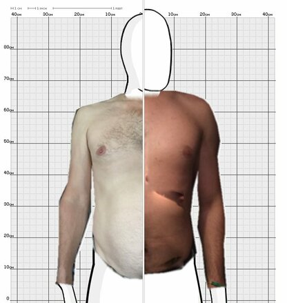 Torso Comparison