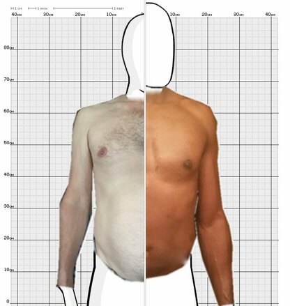 Torso Comparison