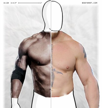 Torso Comparison
