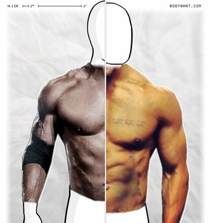 The Rock Dwayne Johnson Vs Zyzz Bodywhat