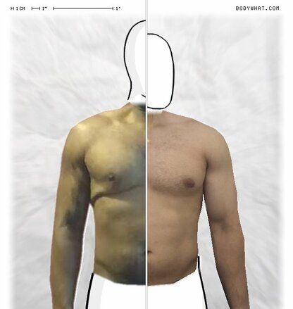 Torso Comparison