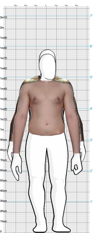 Full Size Comparison