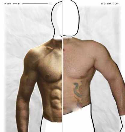 Torso Comparison