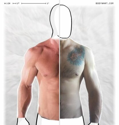 Torso Comparison