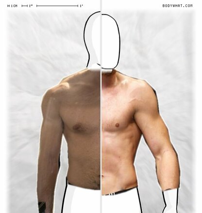 Torso Comparison