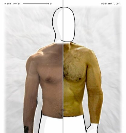 Torso Comparison