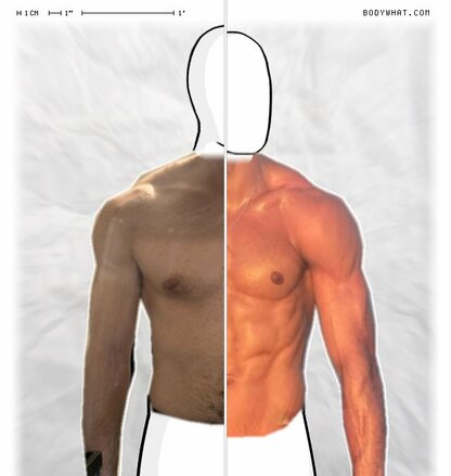 Torso Comparison