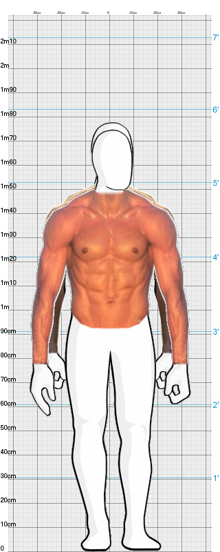 Full Size Comparison