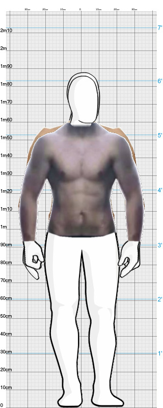 Full Size Comparison