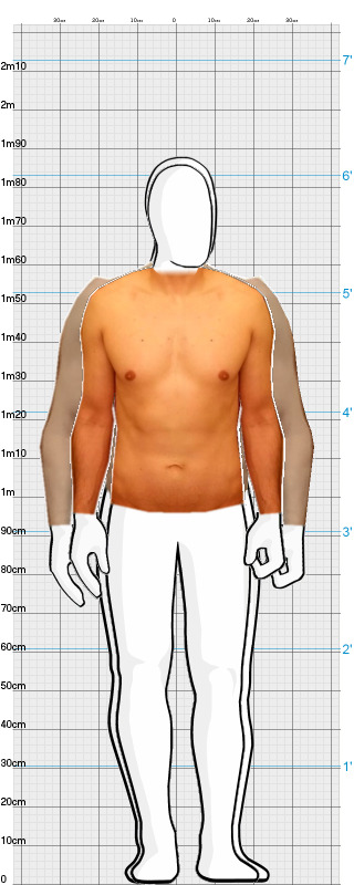 Full Size Comparison
