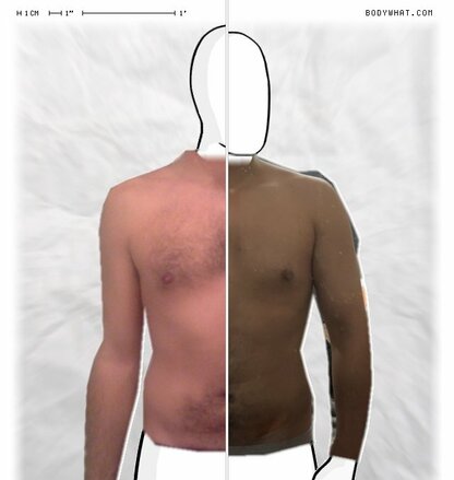 Torso Comparison