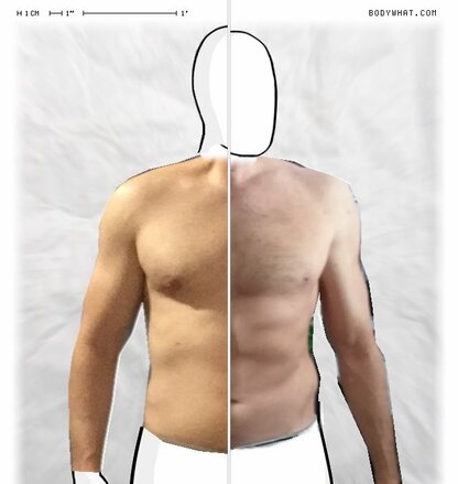 Torso Comparison