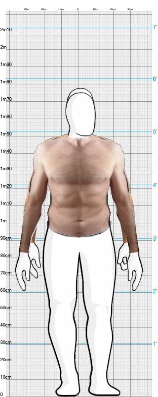 Full Size Comparison