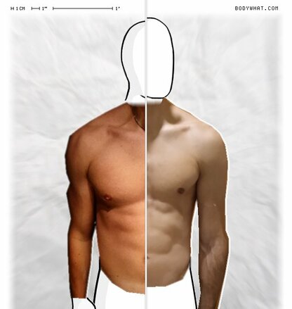 Torso Comparison