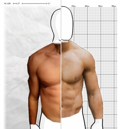 Torso Comparison