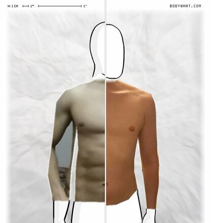 Torso Comparison