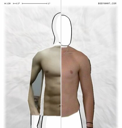 Torso Comparison