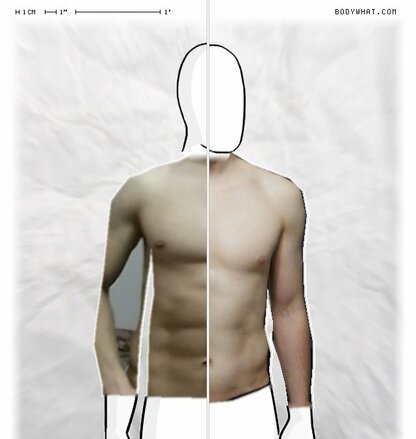 Torso Comparison