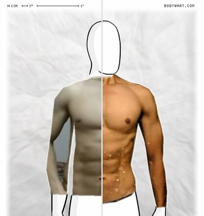 Torso Comparison