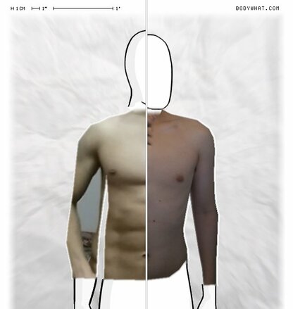 Torso Comparison