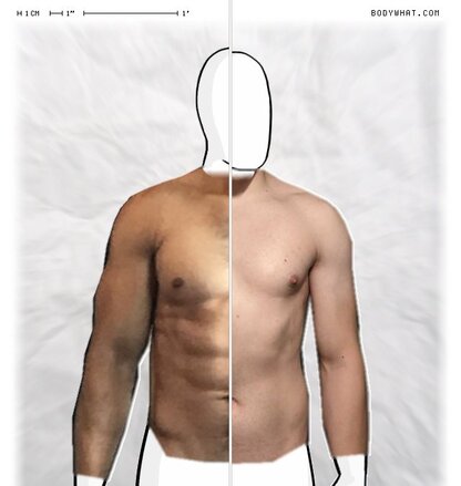 Torso Comparison