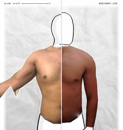 Torso Comparison