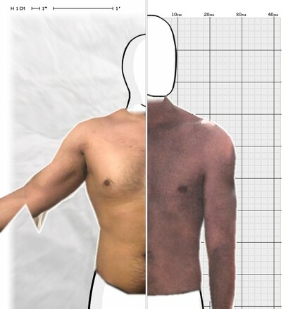 Torso Comparison