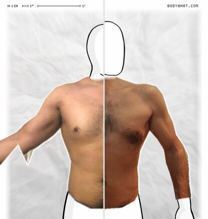 Torso Comparison